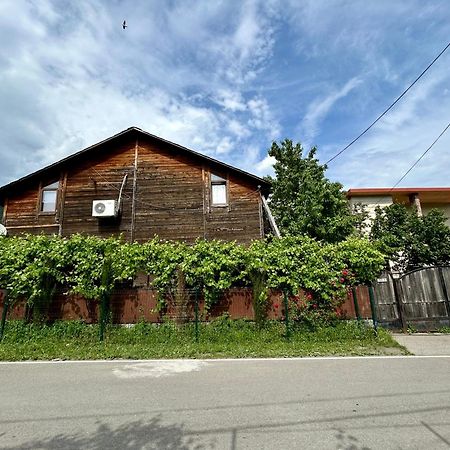 ❆Cozy, 4 Br. Villa In Ananuri❆ Εξωτερικό φωτογραφία