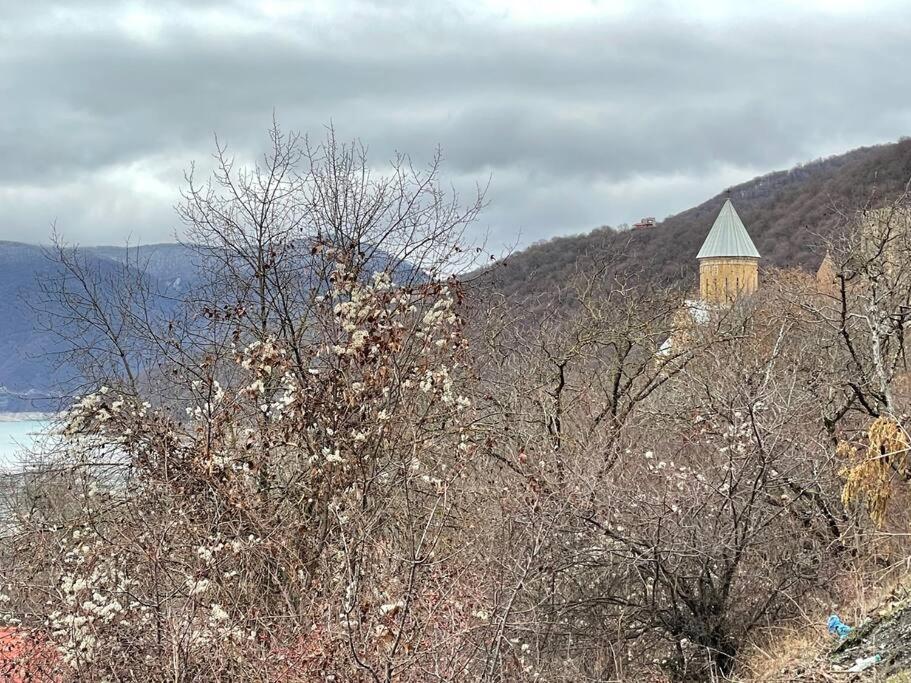❆Cozy, 4 Br. Villa In Ananuri❆ Εξωτερικό φωτογραφία
